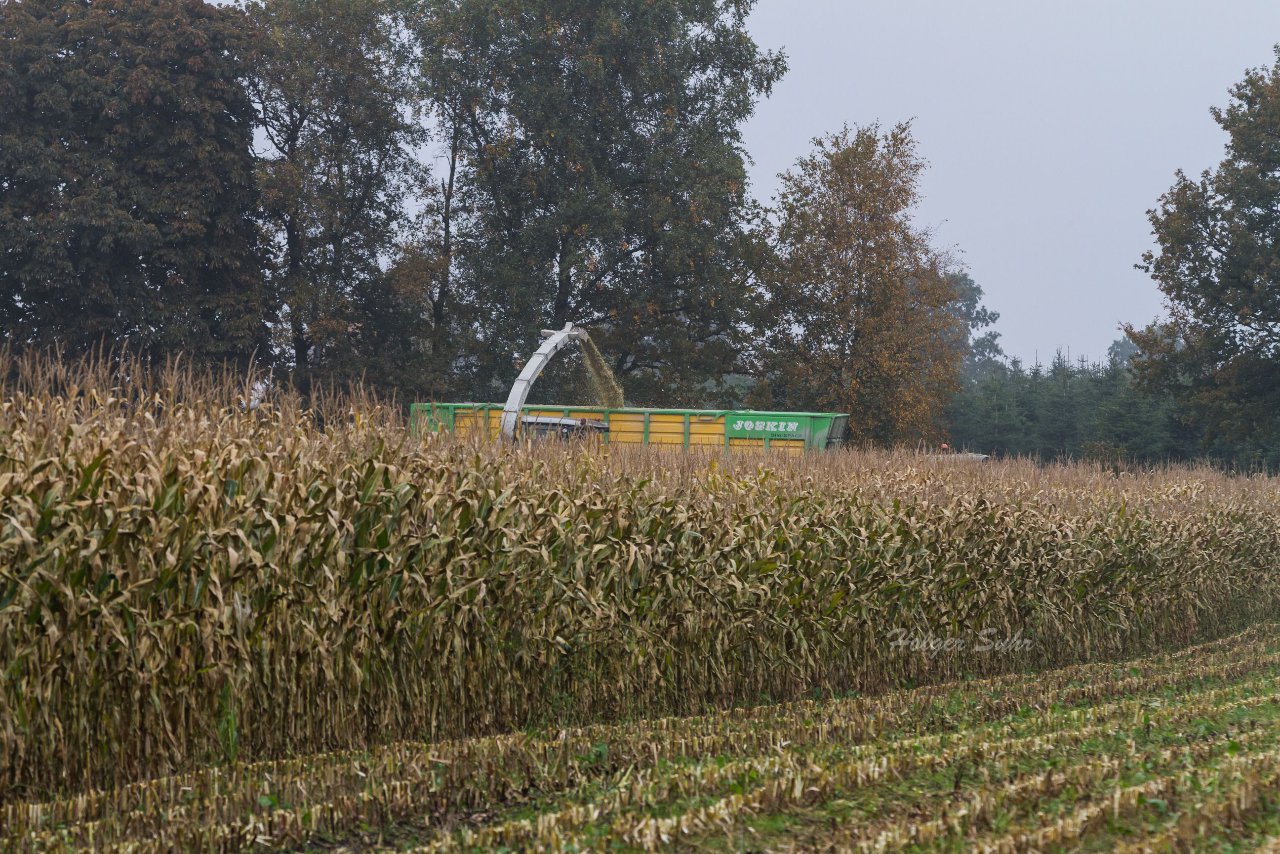 Bild 131 - Biogas am 21.10.12